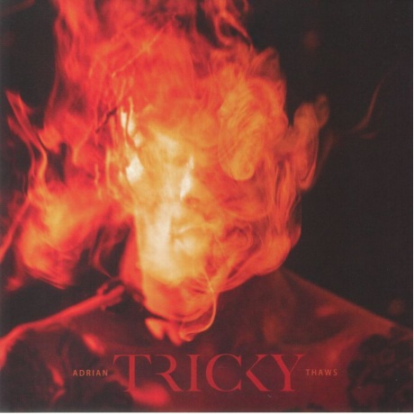 Tricky - Adrian Thaws (0730003731730) виниловая пластинка
Tricky - Adrian Thaws (0730003731730) виниловая пластинка