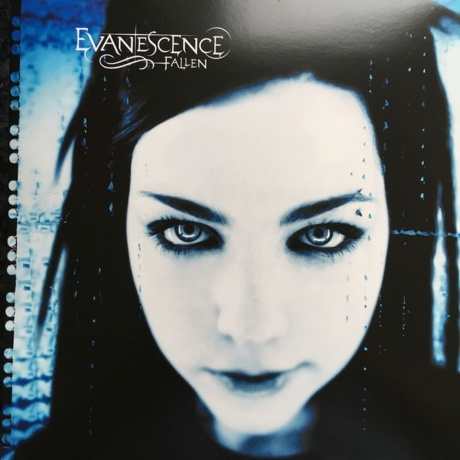 Evanescence - Fallen (0888072025097) виниловая пластинка
Evanescence - Fallen (0888072025097) виниловая пластинка