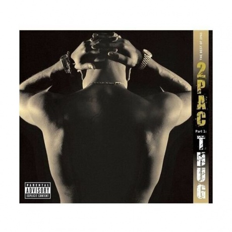 0602435217345, 2Pac, The Best Of (Thug) виниловая пластинка
0602435217345, 2Pac, The Best Of (Thug) виниловая пластинка