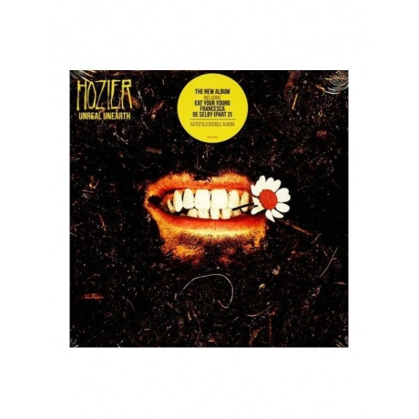 Hozier - Unreal Unearth (0602455238054) виниловая пластинка
Hozier - Unreal Unearth (0602455238054) виниловая пластинка