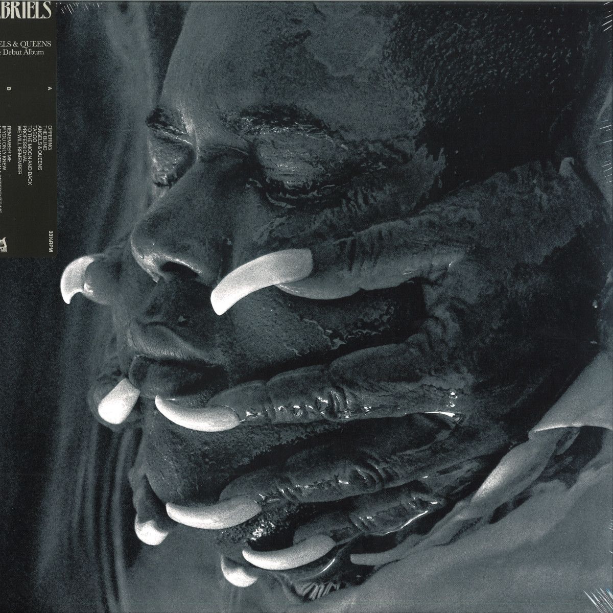 5054197187698, Виниловая пластинка Gabriels, Angels & Queens
5054197187698, Виниловая пластинка Gabriels, Angels & Queens