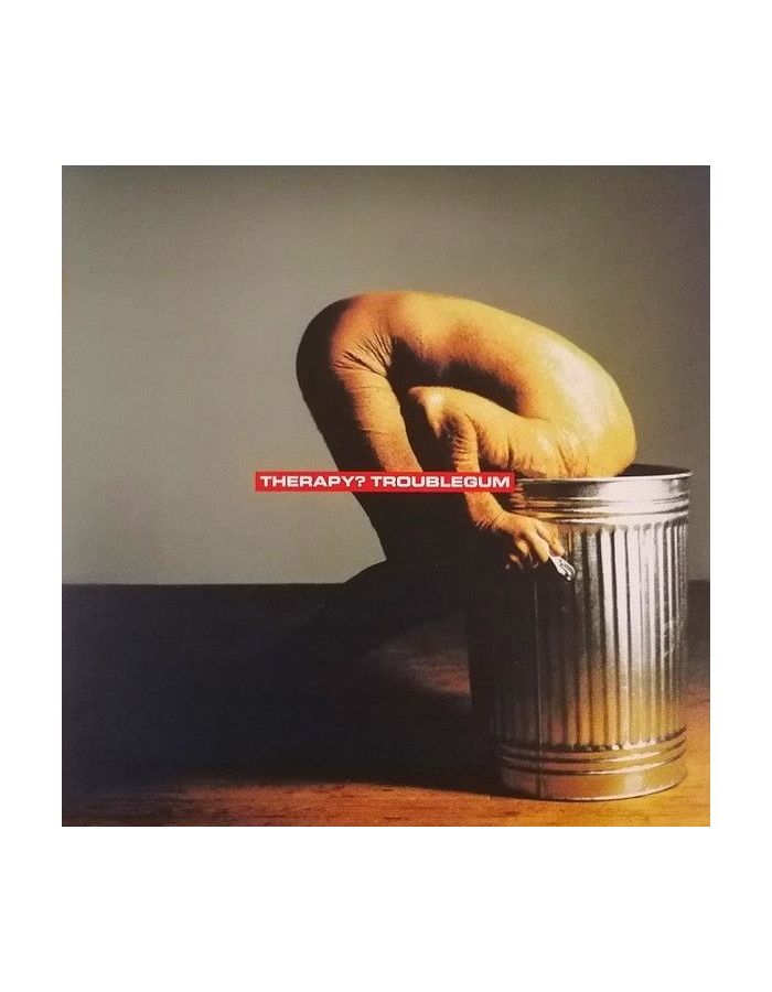 0600753923382, Виниловая пластинка Therapy, Troublegum
0600753923382, Виниловая пластинка Therapy, Troublegum