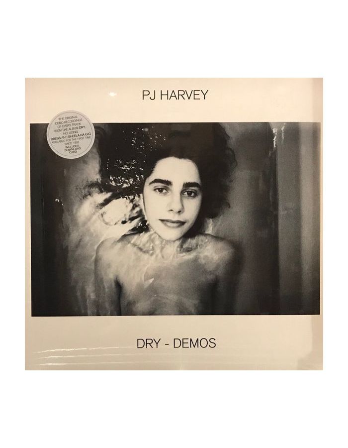 0602508782473, Виниловая пластинка Harvey, PJ, Dry – Demos
0602508782473, Виниловая пластинка Harvey, PJ, Dry – Demos