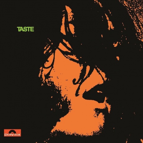 Taste - Taste (0600753370056) виниловая пластинка
Taste - Taste (0600753370056) виниловая пластинка