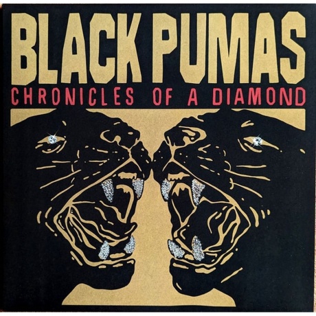 Black Pumas - Chronicles Of A Diamond (coloured) (5400863146160) виниловая пластинка
Black Pumas - Chronicles Of A Diamond (coloured) (5400863146160) виниловая пластинка