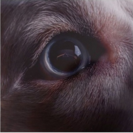 Roger Waters - The Dark Side Of The Moon Redux (coloured) (0711297395785) виниловая пластинка
Roger Waters - The Dark Side Of The Moon Redux (coloured) (0711297395785) виниловая пластинка