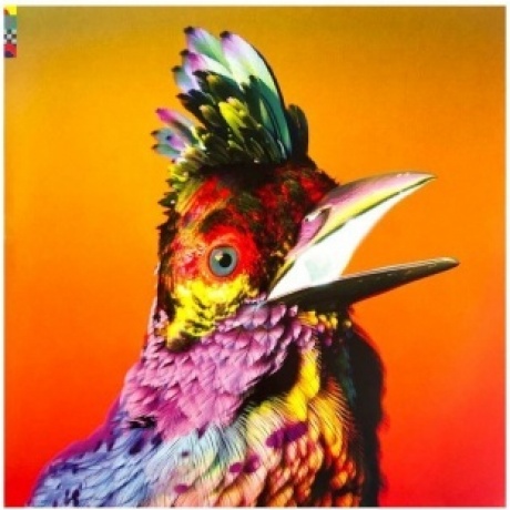 Flume - Palaces (5400863077853) виниловая пластинка
Flume - Palaces (5400863077853) виниловая пластинка