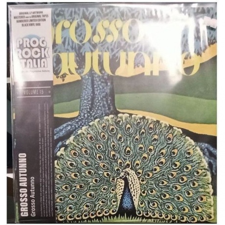 Grosso Autunno - Grosso Autunno (0602438264445) виниловая пластинка
Grosso Autunno - Grosso Autunno (0602438264445) виниловая пластинка