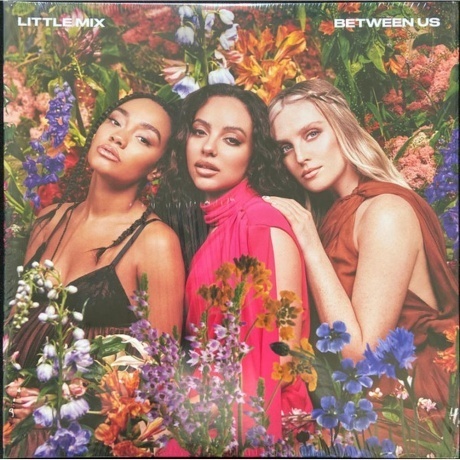 Little Mix - Between Us (0194399262719) виниловая пластинка
Little Mix - Between Us (0194399262719) виниловая пластинка