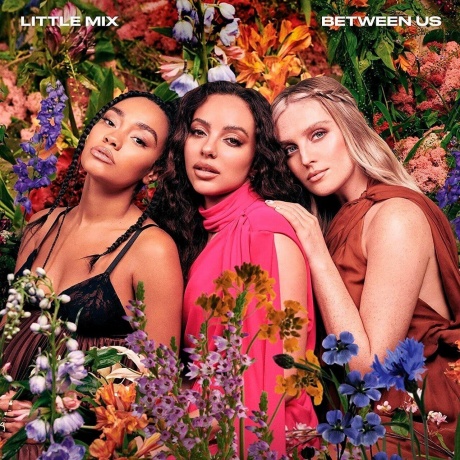Little Mix - Between Us (0194399262719) виниловая пластинка
Little Mix - Between Us (0194399262719) виниловая пластинка