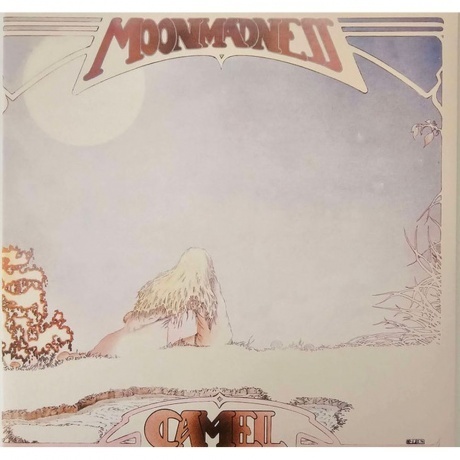 Camel - Moonmadness (0602445682959) виниловая пластинка
Camel - Moonmadness (0602445682959) виниловая пластинка