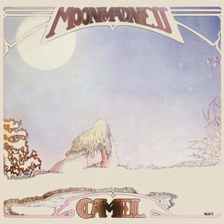 Camel - Moonmadness (0602445682959) виниловая пластинка
Camel - Moonmadness (0602445682959) виниловая пластинка