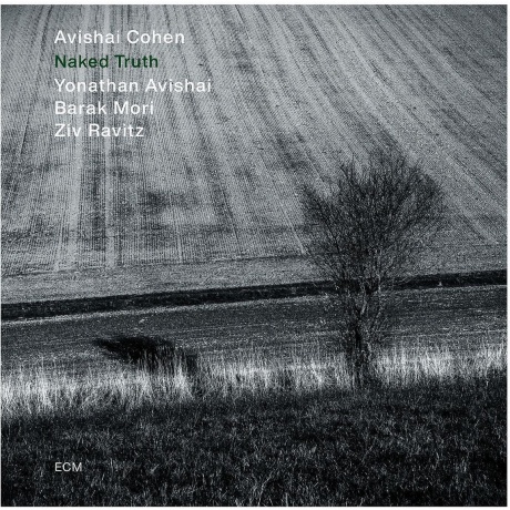 Avishai Cohen - Naked Truth (0602445053650) виниловая пластинка
Avishai Cohen - Naked Truth (0602445053650) виниловая пластинка