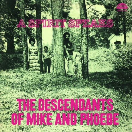 The Descendants Of Mike & Phoebe - A Spirit Speaks (Analogue) (5060149622643) виниловая пластинка
The Descendants Of Mike & Phoebe - A Spirit Speaks (Analogue) (5060149622643) виниловая пластинка