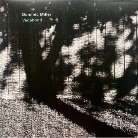 Dominic Miller - Vagabond (0602445890491) виниловая пластинка
Dominic Miller - Vagabond (0602445890491) виниловая пластинка