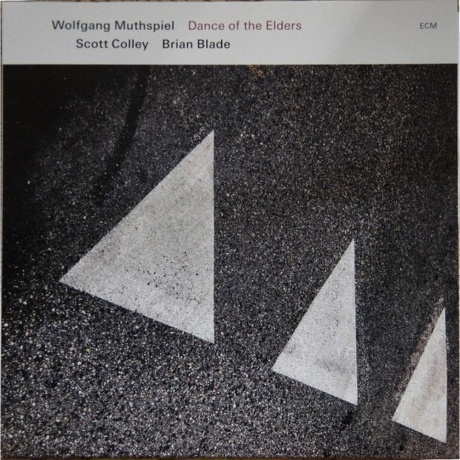 Wolfgang Muthspiel & Scott Colley & Brian Blade - Dance Of The Elders (0602455725288) виниловая пластинка
Wolfgang Muthspiel & Scott Colley & Brian Blade - Dance Of The Elders (0602455725288) виниловая пластинка