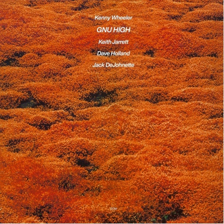 Kenny Wheeler - Gnu High (0602445053469) виниловая пластинка
Kenny Wheeler - Gnu High (0602445053469) виниловая пластинка
