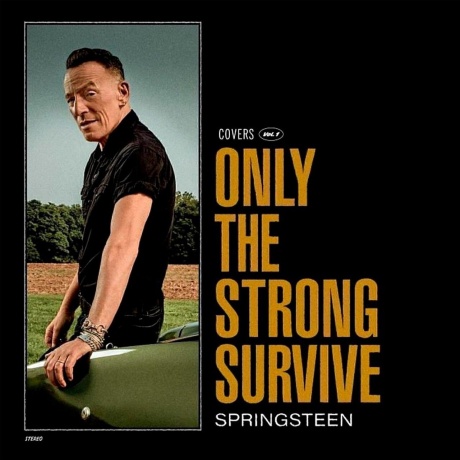 Bruce Springsteen - Only The Strong Survive (0196587453619) виниловая пластинка
Bruce Springsteen - Only The Strong Survive (0196587453619) виниловая пластинка
