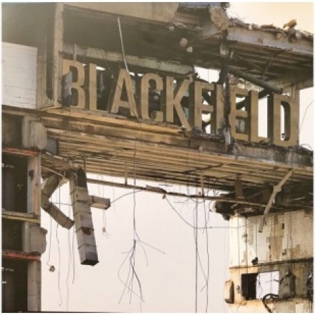 Blackfield - Blackfield II (0802644895819) виниловая пластинка
Blackfield - Blackfield II (0802644895819) виниловая пластинка