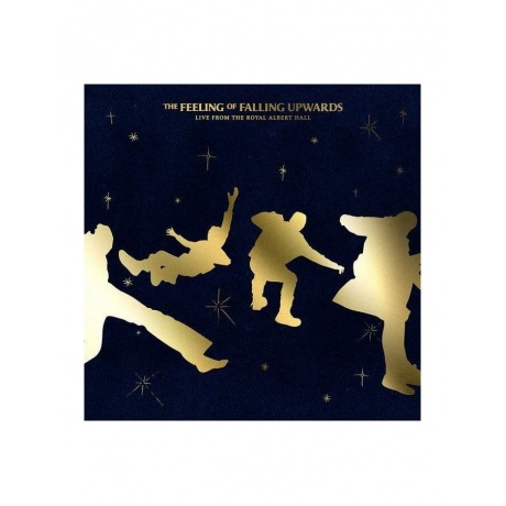 5 Seconds Of Summer - The Feeling Of Falling Upwards (4050538901238) виниловая пластинка
5 Seconds Of Summer - The Feeling Of Falling Upwards (4050538901238) виниловая пластинка