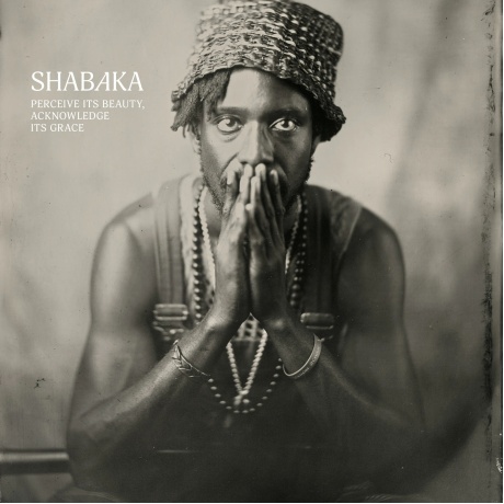 Shabaka - Perceive Its Beauty, Acknowledge Its Grace (0602465043112) виниловая пластинка
Shabaka - Perceive Its Beauty, Acknowledge Its Grace (0602465043112) виниловая пластинка