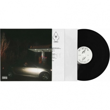 X Ambassadors - Townie (0196922646447) виниловая пластинка
X Ambassadors - Townie (0196922646447) виниловая пластинка