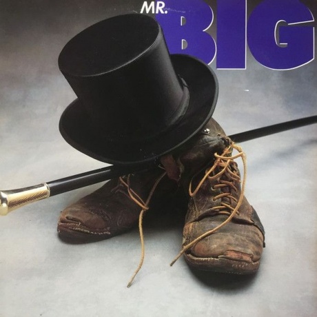 Mr. Big - Mr. Big (coloured) (Audiophile Edition) (4895241411748) виниловая пластинка
Mr. Big - Mr. Big (coloured) (Audiophile Edition) (4895241411748) виниловая пластинка
