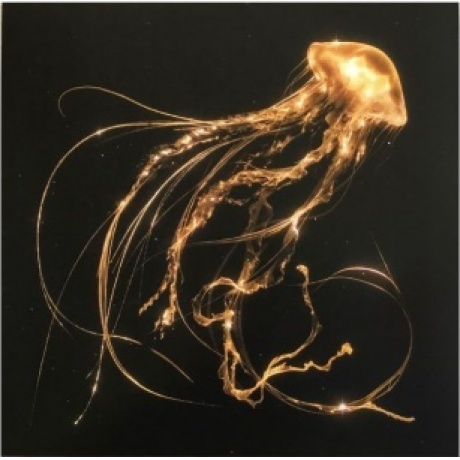 5054197678714, Royal Blood, Back To The Water Below виниловая пластинка
5054197678714, Royal Blood, Back To The Water Below виниловая пластинка