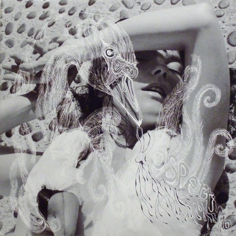 Bjork - Vespertine (5016958046019) виниловая пластинка
Bjork - Vespertine (5016958046019) виниловая пластинка