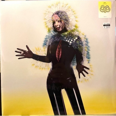 Bjork - Vulnicura (5016958997267) виниловая пластинка
Bjork - Vulnicura (5016958997267) виниловая пластинка