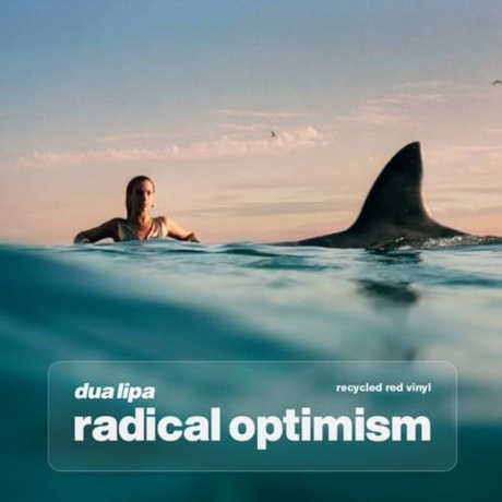 Dua Lipa - Radical Optimism (Red) (5054197960567) виниловая пластинка
Dua Lipa - Radical Optimism (Red) (5054197960567) виниловая пластинка