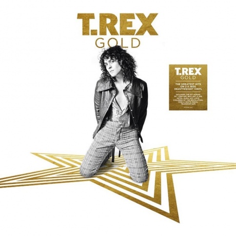 T. Rex - Gold (5014797897335) виниловая пластинка
T. Rex - Gold (5014797897335) виниловая пластинка