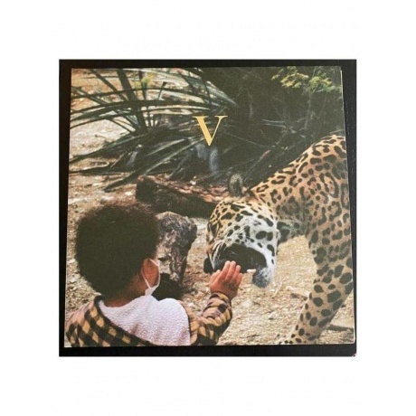 Unknown Mortal Orchestra - V (0656605242217) виниловая пластинка
Unknown Mortal Orchestra - V (0656605242217) виниловая пластинка