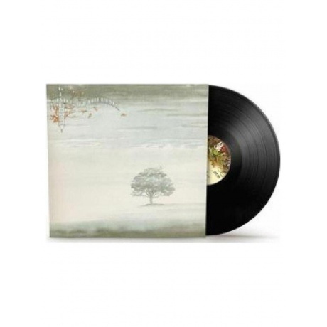 Genesis - Wind & Wuthering (2024 Vinyl Reissues) (0081227955311) виниловая пластинка
Genesis - Wind & Wuthering (2024 Vinyl Reissues) (0081227955311) виниловая пластинка