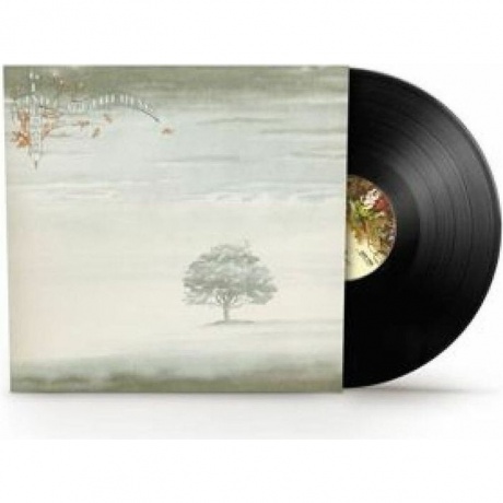 Genesis - Wind & Wuthering (2024 Vinyl Reissues) (0081227955311) виниловая пластинка
Genesis - Wind & Wuthering (2024 Vinyl Reissues) (0081227955311) виниловая пластинка