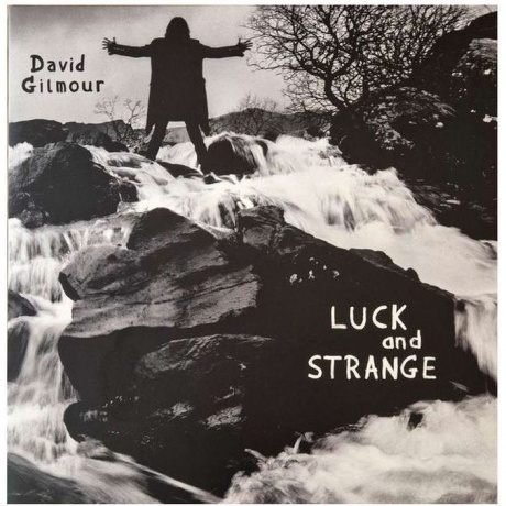 David Gilmour - Luck And Strange (0198028046114) виниловая пластинка
David Gilmour - Luck And Strange (0198028046114) виниловая пластинка