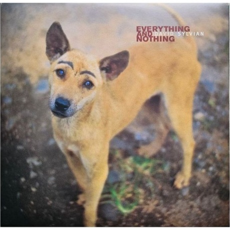 David Sylvian - Everything And Nothing (0602465048575) виниловая пластинка
David Sylvian - Everything And Nothing (0602465048575) виниловая пластинка