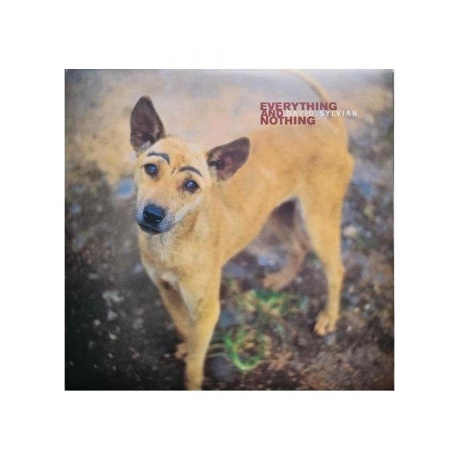David Sylvian - Everything And Nothing (0602465048575) виниловая пластинка
David Sylvian - Everything And Nothing (0602465048575) виниловая пластинка