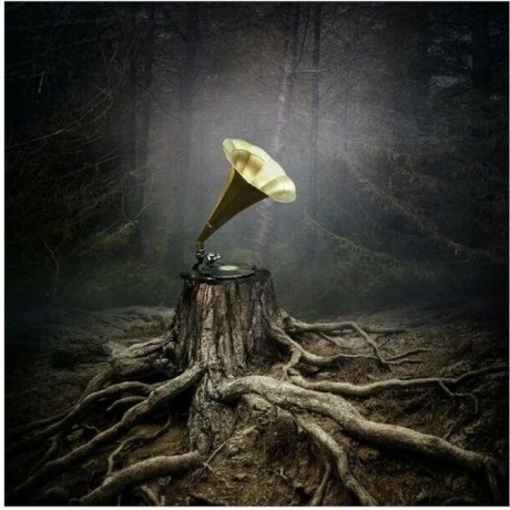 Аквариум - Тор (4620032914203) виниловая пластинка
Аквариум - Тор (4620032914203) виниловая пластинка