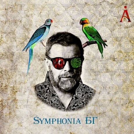БГ - Symphonia БГ (4620032911837) виниловая пластинка
БГ - Symphonia БГ (4620032911837) виниловая пластинка