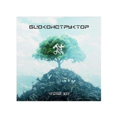 Биоконструктор - Чудный Мир (4657794562182) виниловая пластинка
Биоконструктор - Чудный Мир (4657794562182) виниловая пластинка