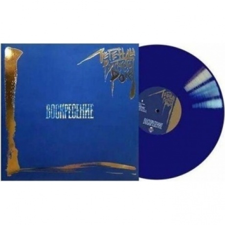 Легенды Русского Рока - Воскресение (Blue) (4640001405259) виниловая пластинка
Легенды Русского Рока - Воскресение (Blue) (4640001405259) виниловая пластинка
