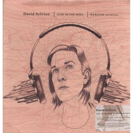 David Sylvian - Died In The Wool (0602465575910) виниловая пластинка
David Sylvian - Died In The Wool (0602465575910) виниловая пластинка