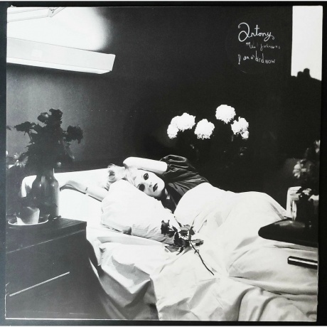 Antony & The Johnsons - I Am A Bird Now (5050159822317) виниловая пластинка
Antony & The Johnsons - I Am A Bird Now (5050159822317) виниловая пластинка