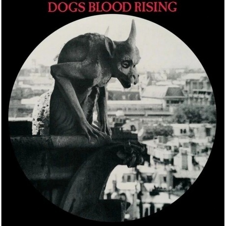 Current 93 - Dogs Blood Rising (picture) (5060446127414) виниловая пластинка
Current 93 - Dogs Blood Rising (picture) (5060446127414) виниловая пластинка