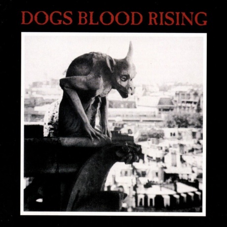 Current 93 - Dogs Blood Rising (picture) (5060446127414) виниловая пластинка
Current 93 - Dogs Blood Rising (picture) (5060446127414) виниловая пластинка