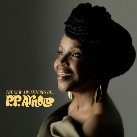 P.P. Arnold - The New Adventures Of... (4029759140399) виниловая пластинка
P.P. Arnold - The New Adventures Of... (4029759140399) виниловая пластинка