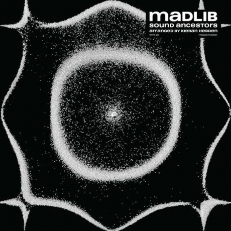 Madlib - Sound Ancestors (0989327004413) виниловая пластинка
Madlib - Sound Ancestors (0989327004413) виниловая пластинка