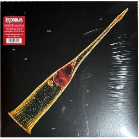Leprous - Melodies Of Atonement (Clear Red) (0198028132015) виниловая пластинка
Leprous - Melodies Of Atonement (Clear Red) (0198028132015) виниловая пластинка