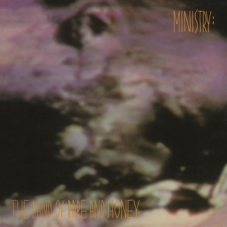 Ministry - The Land Of Rape And Honey (8718469531813) виниловая пластинка
Ministry - The Land Of Rape And Honey (8718469531813) виниловая пластинка